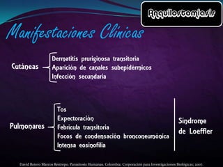 David Botero Marcos Restrepo. Parasitosis Humanas. Colombia: Corporación para Investigaciones Biológicas; 2007.

 