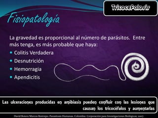 La gravedad es proporcional al número de parásitos. Entre
más tenga, es más probable que haya:
 Colitis Verdadera
 Desnutrición
 Hemorragia
 Apendicitis

David Botero Marcos Restrepo. Parasitosis Humanas. Colombia: Corporación para Investigaciones Biológicas; 2007.

 