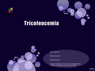 Tricoleucemia Dalia Alfaro B. Milena Cancino R. Felipe Jamett F. Fotografía Medica, Escuela de Tecnología Medica, Facultad de Medicina Universidad de Chile 
