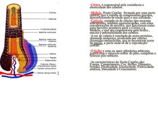 •Córtex, é responsável pela resistência e
elasticidade dos cabelos.
•Medula, Haste Capilar formada por uma parte
central, que é repleta de componentes porosos,
desconhecendo-se ainda qual a sua utilidade.
•Cutícula, compõe-se de células tipo escamas
sobrepostas, também queratinizadas, com altas
concentrações de enxofre, que funcionam como
uma barreira protetora para o Córtex e a
Medula, e que são responsáveis pelo brilho ,
maciez e penteabilidade dos cabelos.
•A cor do cabelo é resultado de outra proteína,
chamada melanina, produzida por células
chamadas melanócitos, que se encontram junto
da papila, a parte onde se dá a reprodução
celular.
•O bulbo e uma ou mais glândulas sebáceas,
juntos com o músculo eretor do pêlo, compõem o
folículo pilo-sebáceo.
•As características da Haste Capilar são:
F orma, Comprimento, Cor, Brilho, Diâmetro,
Solidez, Plasticidade, Elasticidade, Eletricidade
estática, Densidade e Crescimento.

 