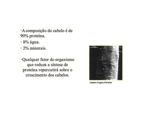 •A composição do cabelo é de
90% proteína.
• 8% água.
• 2% minerais.
•Qualquer fator do organismo
que reduza a síntese de
proteína repercutirá sobre o
crescimento dos cabelos.

 