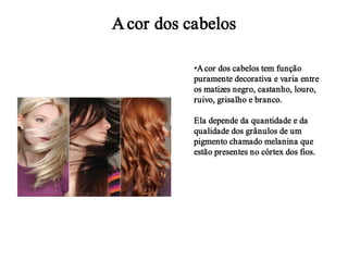 A cor dos cabelos
•A cor dos cabelos tem função
puramente decorativa e varia entre
os matizes negro, castanho, louro,
ruivo, grisalho e branco.
Ela depende da quantidade e da
qualidade dos grânulos de um
pigmento chamado melanina que
estão presentes no córtex dos fios.

 