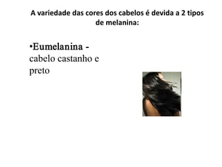 A variedade das cores dos cabelos é devida a 2 tipos
de melanina:

•Eumelanina cabelo castanho e
preto

 