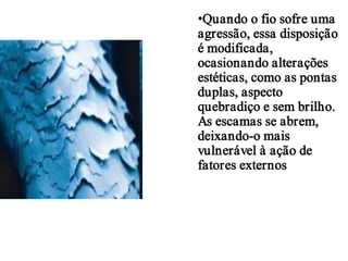 •Quando o fio sofre uma
agressão, essa disposição
é modificada,
ocasionando alterações
estéticas, como as pontas
duplas, aspecto
quebradiço e sem brilho.
As escamas se abrem,
deixando-o mais
vulnerável à ação de
fatores externos

 
