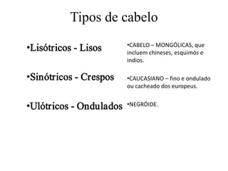 Tipos de cabelo
•Lisótricos - Lisos
•Sinótricos - Crespos
•Ulótricos - Ondulados

•CABELO – MONGÓLICAS, que
incluem chineses, esquimós e
indios.
•CAUCASIANO – fino e ondulado
ou cacheado dos europeus.
•NEGRÓIDE.

 