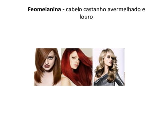 Feomelanina - cabelo castanho avermelhado e
                   louro
 