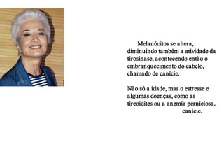 •Com o passar dos anos, a atividade
dos Melanócitos se altera,
diminuindo também a atividade da
tirosinase, acontecendo então o
embranquecimento do cabelo,
chamado de canície.

Não só a idade, mas o estresse e
algumas doenças, como as
tireoidites ou a anemia perniciosa,
também promovem a canície.
 