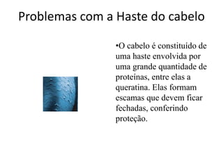 Problemas com a Haste do cabelo

                •O cabelo é constituído de
                uma haste envolvida por
                uma grande quantidade de
                proteínas, entre elas a
                queratina. Elas formam
                escamas que devem ficar
                fechadas, conferindo
                proteção.
 