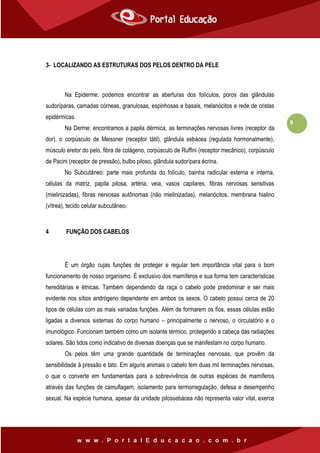 9
3- LOCALIZANDO AS ESTRUTURAS DOS PELOS DENTRO DA PELE
Na Epiderme: podemos encontrar as aberturas dos folículos, poros das glândulas
sudoríparas, camadas córneas, granulosas, espinhosas e basais, melanócitos e rede de cristas
epidérmicas.
Na Derme: encontramos a papila dérmica, as terminações nervosas livres (receptor da
dor), o corpúsculo de Meissner (receptor tátil), glândula sebácea (regulada hormonalmente),
músculo eretor do pelo, fibra de colágeno, corpúsculo de Ruffini (receptor mecânico), corpúsculo
de Pacini (receptor de pressão), bulbo piloso, glândula sudorípara écrina.
No Subcutâneo: parte mais profunda do folículo, bainha radicular externa e interna,
células da matriz, papila pilosa, artéria, veia, vasos capilares, fibras nervosas sensitivas
(mielinizadas), fibras nervosas autônomas (não mielinizadas), melanócitos, membrana hialino
(vítrea), tecido celular subcutâneo.
4 FUNÇÃO DOS CABELOS
É um órgão cujas funções de proteger e regular tem importância vital para o bom
funcionamento de nosso organismo. É exclusivo dos mamíferos e sua forma tem características
hereditárias e étnicas. Também dependendo da raça o cabelo pode predominar e ser mais
evidente nos sítios andrógeno dependente em ambos os sexos. O cabelo possui cerca de 20
tipos de células com as mais variadas funções. Além de formarem os fios, essas células estão
ligadas a diversos sistemas do corpo humano – principalmente o nervoso, o circulatório e o
imunológico. Funcionam também como um isolante térmico, protegendo a cabeça das radiações
solares. São tidos como indicativo de diversas doenças que se manifestam no corpo humano.
Os pelos têm uma grande quantidade de terminações nervosas, que provêm da
sensibilidade à pressão e tato. Em alguns animais o cabelo tem duas mil terminações nervosas,
o que o converte em fundamentais para a sobrevivência de outras espécies de mamíferos
através das funções de camuflagem, isolamento para termorregulação, defesa e desempenho
sexual. Na espécie humana, apesar da unidade pilossebácea não representa valor vital, exerce
 