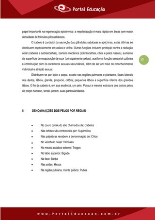 10
papel importante na regeneração epidérmica: a reepitelização é mais rápida em áreas com maior
densidade de folículos pilossebáceos.
O cabelo é condutor da secreção das glândulas sebáceas e apócrinas, estas últimas se
distribuem especialmente em axilas e virilha. Outras funções incluem: proteção contra a radiação
solar (cabelos e sobrancelhas), barreira mecânica (sobrancelhas, cílios e pelos nasais), aumento
da superfície de evaporação de suor (principalmente axilas), auxílio na função sensorial cutânea
e contribuição com os caracteres sexuais secundários, além de ser um meio de reconhecimento
individual e atração sexual.
Distribuem-se por todo o corpo, exceto nas regiões palmares e plantares, faces laterais
dos dedos, lábios, glande, prepúcio, clitóris, pequenos lábios e superfície interna dos grandes
lábios. O fio de cabelo é, em sua essência, um pelo. Possui a mesma estrutura dos outros pelos
do corpo humano, tendo, porém, suas particularidades.
5 DENOMINAÇÕES DOS PELOS POR REGIÃO
 No couro cabeludo são chamados de: Cabelos
 Nas órbitas são conhecidos por: Supercílios
 Nas pálpebras recebem a denominação de: Cílios
 No vestíbulo nasal: Vibrissas
 No meato acústico externo: Tragos
 No lábio superior: Bigode
 Na face: Barba
 Nas axilas: Hircos
 Na região pubiana, monte púbico: Pubes
 