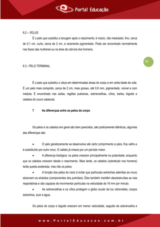 12
6.2 – VELUS
É o pelo que substitui a lanugem após o nascimento; é macio, não medulado, fino, cerca
de 0,1 cm, curto, cerca de 2 cm, e raramente pigmentado. Pode ser encontrado normalmente
nas faces das mulheres ou na área de calvície dos homens.
6.3 - PELO TERMINAL
É o pelo que substitui o velus em determinadas áreas do corpo e em certa idade da vida.
É um pelo mais comprido, cerca de 2 cm, mais grosso, até 0,6 mm, pigmentado, visível e com
medula. É encontrado nas axilas, regiões pubianas, sobrancelhas, cílios, barba, bigode e
cabelos do couro cabeludo.
7 As diferenças entre os pelos do corpo
Os pelos e os cabelos em geral são bem parecidos, são praticamente idênticos, algumas
das diferenças são:
 O pelo geneticamente se desenvolve até certo comprimento e pára, fica velho e
é substituído por outro novo. O cabelo já cresce por um período maior.
 A diferença biológica: os pelos crescem principalmente na puberdade, enquanto
que os cabelos crescem desde o nascimento. Mais tarde, os cabelos (sobretudo nos homens)
terão queda acelerada, mas não os pelos.
 A função dos pelos do nariz é evitar que partículas estranhas aderidas ao muco
alcancem os alvéolos (componentes dos pulmões). Eles também mantêm desobstruídas as vias
respiratórias e são capazes de movimentar partículas na velocidade de 16 mm por minuto.
 As sobrancelhas e os cílios protegem o globo ocular da luz ultravioleta, corpos
estranhos, suor e água.
Os pelos do corpo e bigode crescem em menor velocidade, seguido da sobrancelha e
 