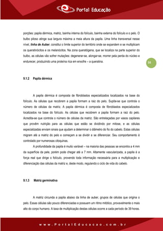 16
porções: papila dérmica, matriz, bainha interna do folículo, bainha externa do folículo e o pelo. O
bulbo piloso atinge sua largura máxima a meia altura da papila. Uma linha transversal nesse
nível, linha de Auber, constitui o limite superior do território onde se expandem e se multiplicam
os queratinócitos e os melanócitos. Na zona queratógena, que se localiza na parte superior do
bulbo, as células vão sofrer mutações: degenerar-se, alongar-se, morrer pela perda do núcleo e
endurecer, produzindo uma proteína rica em enxofre – a queratina.
9.1.2 Papila dérmica
A papila dérmica é composta de fibroblastos especializados localizados na base do
folículo. As células que recobrem a papila formam a raiz do pelo. Supõe-se que controla o
número de células da matriz. A papila dérmica é composta de fibroblastos especializados
localizados na base do folículo. As células que recobrem a papila formam a raiz do pelo.
Acredita-se que controla o número de células da matriz. São entrelaçadas por vasos capilares
que provêm nutrição para as células que estão se dividindo por mitose, e as células
especializadas enviam sinais que ajudam a determinar o diâmetro do fio do cabelo. Estas células
migram até a matriz do pelo e começam a se dividir e se diferenciar. Seu comportamento é
controlado por numerosas citoquinas.
A profundidade da papila é muito variável – na maioria das pessoas se encontra a 4 mm
da superfície da pele, porém pode chegar até a 7 mm. Altamente vascularizada, a papila é a
força real que dirige o folículo, provendo toda informação necessária para a multiplicação e
diferenciação das células da matriz e, deste modo, regulando o ciclo de vida do cabelo.
9.1.3 Matriz germinativa
A matriz circunda a papila abaixo da linha de auber, grupos de células que origina o
pelo. Essas células são pouco diferenciadas e possuem um ritmo mitótico, provavelmente o mais
alto do corpo humano. A taxa de multiplicação destas células ocorre a cada período de 39 horas.
 