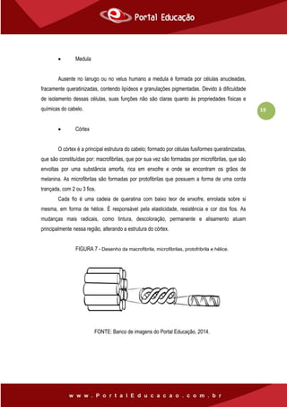 19
 Medula
Ausente no lanugo ou no velus humano a medula é formada por células anucleadas,
fracamente queratinizadas, contendo lipídeos e granulações pigmentadas. Devido à dificuldade
de isolamento dessas células, suas funções não são claras quanto às propriedades físicas e
químicas do cabelo.
 Córtex
O córtex é a principal estrutura do cabelo; formado por células fusiformes queratinizadas,
que são constituídas por: macrofibrilas, que por sua vez são formadas por microfibrilas, que são
envoltas por uma substância amorfa, rica em enxofre e onde se encontram os grãos de
melanina. As microfibrilas são formadas por protofibrilas que possuem a forma de uma corda
trançada, com 2 ou 3 fios.
Cada fio é uma cadeia de queratina com baixo teor de enxofre, enrolada sobre si
mesma, em forma de hélice. É responsável pela elasticidade, resistência e cor dos fios. As
mudanças mais radicais, como tintura, descoloração, permanente e alisamento atuam
principalmente nessa região, alterando a estrutura do córtex.
FIGURA 7 - Desenho da macrofibrila, microfibrilas, protofribrila e hélice.
FONTE: Banco de imagens do Portal Educação, 2014.
 