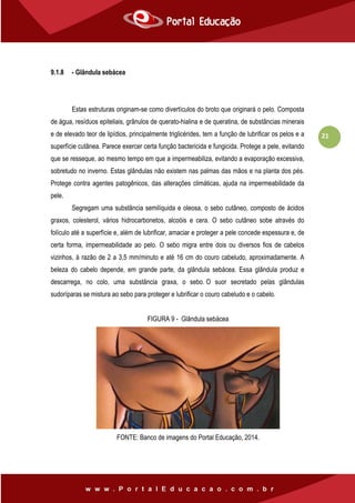 21
9.1.8 - Glândula sebácea
Estas estruturas originam-se como divertículos do broto que originará o pelo. Composta
de água, resíduos epiteliais, grânulos de querato-hialina e de queratina, de substâncias minerais
e de elevado teor de lipídios, principalmente triglicérides, tem a função de lubrificar os pelos e a
superfície cutânea. Parece exercer certa função bactericida e fungicida. Protege a pele, evitando
que se resseque, ao mesmo tempo em que a impermeabiliza, evitando a evaporação excessiva,
sobretudo no inverno. Estas glândulas não existem nas palmas das mãos e na planta dos pés.
Protege contra agentes patogênicos, das alterações climáticas, ajuda na impermeabilidade da
pele.
Segregam uma substância semilíquida e oleosa, o sebo cutâneo, composto de ácidos
graxos, colesterol, vários hidrocarbonetos, alcoóis e cera. O sebo cutâneo sobe através do
folículo até a superfície e, além de lubrificar, amaciar e proteger a pele concede espessura e, de
certa forma, impermeabilidade ao pelo. O sebo migra entre dois ou diversos fios de cabelos
vizinhos, à razão de 2 a 3,5 mm/minuto e até 16 cm do couro cabeludo, aproximadamente. A
beleza do cabelo depende, em grande parte, da glândula sebácea. Essa glândula produz e
descarrega, no colo, uma substância graxa, o sebo. O suor secretado pelas glândulas
sudoríparas se mistura ao sebo para proteger e lubrificar o couro cabeludo e o cabelo.
FIGURA 9 - Glândula sebácea
FONTE: Banco de imagens do Portal Educação, 2014.
 