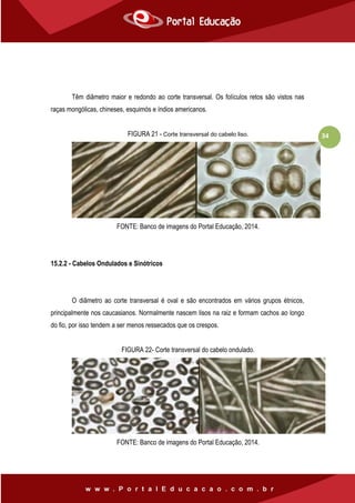 34
Têm diâmetro maior e redondo ao corte transversal. Os folículos retos são vistos nas
raças mongólicas, chineses, esquimós e índios americanos.
FIGURA 21 - Corte transversal do cabelo liso.
FONTE: Banco de imagens do Portal Educação, 2014.
15.2.2 - Cabelos Ondulados e Sinótricos
O diâmetro ao corte transversal é oval e são encontrados em vários grupos étnicos,
principalmente nos caucasianos. Normalmente nascem lisos na raiz e formam cachos ao longo
do fio, por isso tendem a ser menos ressecados que os crespos.
FIGURA 22- Corte transversal do cabelo ondulado.
FONTE: Banco de imagens do Portal Educação, 2014.
 