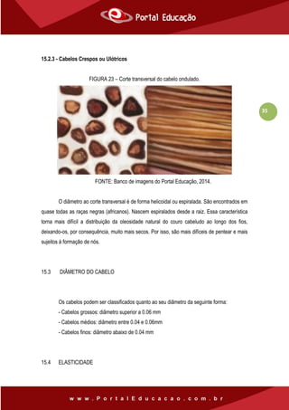 35
15.2.3 - Cabelos Crespos ou Ulótricos
FIGURA 23 – Corte transversal do cabelo ondulado.
FONTE: Banco de imagens do Portal Educação, 2014.
O diâmetro ao corte transversal é de forma helicoidal ou espiralada. São encontrados em
quase todas as raças negras (africanos). Nascem espiralados desde a raiz. Essa característica
torna mais difícil a distribuição da oleosidade natural do couro cabeludo ao longo dos fios,
deixando-os, por consequência, muito mais secos. Por isso, são mais difíceis de pentear e mais
sujeitos à formação de nós.
15.3 DIÂMETRO DO CABELO
Os cabelos podem ser classificados quanto ao seu diâmetro da seguinte forma:
- Cabelos grossos: diâmetro superior a 0.06 mm
- Cabelos médios: diâmetro entre 0.04 e 0.06mm
- Cabelos finos: diâmetro abaixo de 0.04 mm
15.4 ELASTICIDADE
 