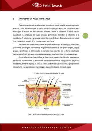 8
2 APRENDENDO UM POUCO SOBRE A PELE
Para compreendermos perfeitamente a formação do folículo piloso é necessário primeiro
entender a pele, pois afinal o pelo se origina de uma invaginação de uma das camadas da pele.
Nossa pele é dividida em três camadas: epiderme, derme e hipoderme ou tecido celular
subcutâneo. É constituída por duas camadas germinativas diferentes: a ectoderme e a
mesoderme. A ectoderme é a camada exterior de um embrião em desenvolvimento; as outras
duas camadas do embrião são a mesoderme e a endoderme.
A epiderme tem origem na ectoderme, enquanto a derme e o tecido adiposo subcutâneo
(hipoderme) têm origem mesodérmica. A epiderme inicialmente é um epitélio simples, depois
graças à proliferação e diferenciação da camada mais profunda, ele se torna estratificado
pavimentoso córneo, com suas camadas características: basal, espinhosa, granulosa e córnea.
Os pelos formam-se pela proliferação da epiderme, desenvolvendo brotos epiteliais que
se afundam no mesoderme. A extremidade de cada broto dilata-se e engloba uma porção do
mesoderma, formando a papila do pelo. As células epidérmicas que envolvem a papila proliferam
intensamente e se queratinizam, migrando para a superfície da pele, formando o pelo.
FIGURA 1 – Esquema das camadas da pele
FONTE: Banco de imagens do Portal Educação, 2014.
 