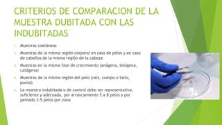 CRITERIOS DE COMPARACION DE LA
MUESTRA DUBITADA CON LAS
INDUBITADAS
1. Muestras coetáneas
2. Muestras de la misma región corporal en caso de pelos y en caso
de cabellos de la misma región de la cabeza
3. Muestras en la misma fase de crecimiento (anágena, telógena,
catágena)
4. Muestras de la misma región del pelo (raíz, cuerpo o tallo,
punta)
5. La muestra indubitada o de control debe ser representativa,
suficiente y adecuada, por arrancamiento 5 a 8 pelos y por
peinado 3-5 pelos por zona
 