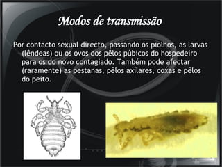 Modos de transmissão   Por contacto sexual directo, passando os piolhos, as larvas (lêndeas) ou os ovos dos pêlos púbicos do hospedeiro para os do novo contagiado. Também pode afectar (raramente) as pestanas, pêlos axilares, coxas e pêlos do peito.  