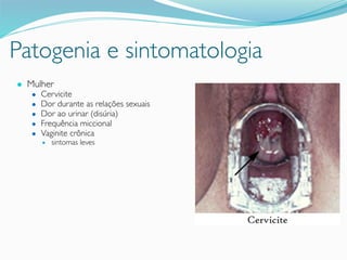 Patogenia e sintomatologia
● Mulher
● Cervicite
● Dor durante as relações sexuais
● Dor ao urinar (disúria)
● Frequência miccional
● Vaginite crônica
● sintomas leves
 