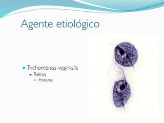 Agente etiológico
● Trichomonas vaginalis
● Reino
● Protozoa
 