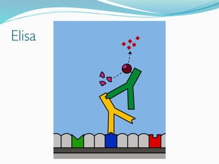 Elisa
 
