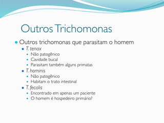 OutrosTrichomonas
● Outros trichomonas que parasitam o homem
● T. tenax
● Não patogênico
● Cavidade bucal
● Parasitam também alguns primatas
● T. hominis
● Não patogênico
● Habitam o trato intestinal
● T. fecalis
● Encontrado em apenas um paciente
● O homem é hospedeiro primário?
 