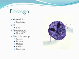 Fisiologia
● Anaeróbio
● Facultativo
● pH
● 5-7,5
● Temperatura
● 20 a 40°C
● Fonte de energia
● Glicose
● Frutose
● Maltose
● Amido
● Glicogênio
 
