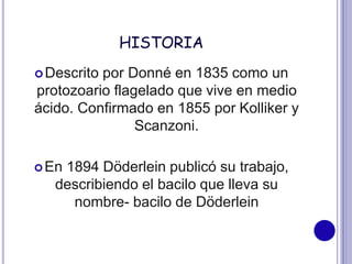 HISTORIA
Descrito por Donné en 1835 como un
protozoario flagelado que vive en medio
ácido. Confirmado en 1855 por Kolliker y
Scanzoni.
En 1894 Döderlein publicó su trabajo,
describiendo el bacilo que lleva su
nombre- bacilo de Döderlein
 