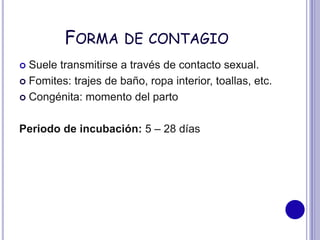 FORMA DE CONTAGIO
 Suele transmitirse a través de contacto sexual.
 Fomites: trajes de baño, ropa interior, toallas, etc.
 Congénita: momento del parto
Periodo de incubación: 5 – 28 días
 