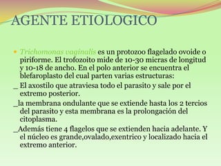 Tricomonosis genito urinario | PPTX