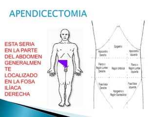 ESTA SERIA
EN LA PARTE
DEL ABDOMEN
GENERALMEN
TE
LOCALIZADO
EN LA FOSA
ILÍACA
DERECHA

 