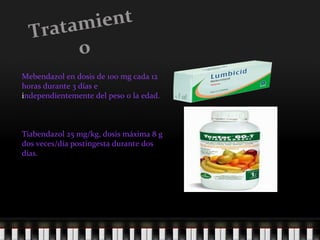 Tratamiento Mebendazol en dosis de 100 mg cada 12 horas durante 3 días e independientemente del peso o la edad.    Tiabendazol 25 mg/kg, dosis máxima 8 g dos veces/día postingesta durante dos días. 