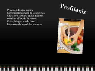Profilaxis Provisión de agua segura.  Eliminación sanitaria de las excretas.  Educación sanitaria en los aspectos  referidos al lavado de manos.  Evitar la ingestión de tierra.  Lavado cuidadoso de las verduras. 