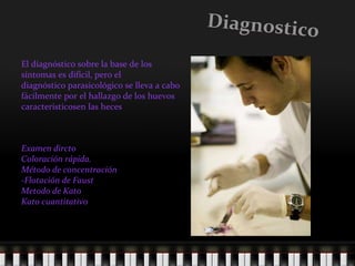 Diagnostico Examen dircto Coloración rápida.  Método de concentración -Flotación de Faust Metodo de Kato Kato cuantitativo  El diagnóstico sobre la base de los síntomas es difícil, pero el diagnóstico parasicológico se lleva a cabo fácilmente por el hallazgo de los huevos característicosen las heces 