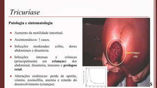 Tricuríase
Patologia e sintomatologia
● Aumento da motilidade intestinal.
● Assintomáticos: ↑ casos.
● Infecções moderadas: colite, dores
abdominais e disenteria.
● Infecções intensas e crônicas
(principalmente em crianças): dor
abdominal, disenteria, tenesmo e prolapso
retal.
● Alterações sistêmicas: perda de apetite,
vômito, eosinofilia, anemia e retardo do
desenvolvimento (crianças). 5
Muitos T. trichiura
Poucos T. trichiura
 