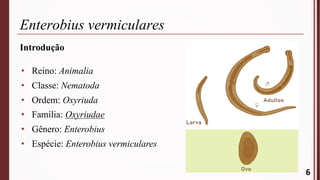 Enterobius vermiculares
Introdução
• Reino: Animalia
• Classe: Nematoda
• Ordem: Oxyriuda
• Família: Oxyriudae
• Gênero: Enterobius
• Espécie: Enterobius vermiculares
6
 