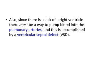 Also, since there is a lack of a right ventricle there  must  be a way to pump blood into the  pulmonary arteries , and this is accomplished by a  ventricular septal defect  (VSD). 