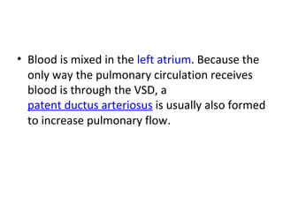 Blood is mixed in the  left atrium . Because the only way the pulmonary circulation receives blood is through the VSD, a  patent ductus arteriosus  is usually also formed to increase pulmonary flow. 