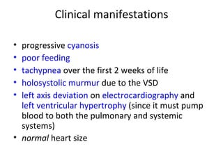 Clinical manifestations progressive  cyanosis poor feeding tachypnea  over the first 2 weeks of life holosystolic   murmur  due to the VSD left axis deviation  on  electrocardiography  and  left ventricular hypertrophy  (since it must pump blood to both the pulmonary and systemic systems) normal  heart size 