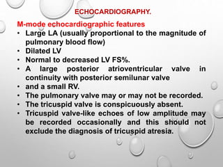 ECHOCARDIOGRAPHY.
M-mode echocardiographic features
• Large LA (usually proportional to the magnitude of
pulmonary blood flow)
• Dilated LV
• Normal to decreased LV FS%.
• A large posterior atrioventricular valve in
continuity with posterior semilunar valve
• and a small RV.
• The pulmonary valve may or may not be recorded.
• The tricuspid valve is conspicuously absent.
• Tricuspid valve-like echoes of low amplitude may
be recorded occasionally and this should not
exclude the diagnosis of tricuspid atresia.
 