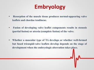 Embryology
• Resorption of the muscle tissue produces normal-appearing valve
leaflets and chordae tendineae.
• Fusion of developing valve leaflet components results in stenosis
(partial fusion) or atresia (complete fusion) of the valve.
• Whether a muscular type of TA develops or whether well-formed
but fused tricuspid-valve leaflets develop depends on the stage of
development when the embryologic aberration takes place.
 