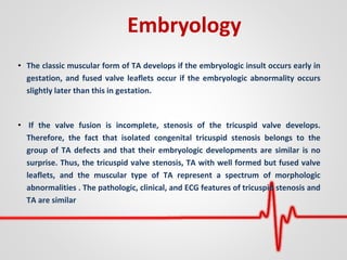 Embryology
• The classic muscular form of TA develops if the embryologic insult occurs early in
gestation, and fused valve leaflets occur if the embryologic abnormality occurs
slightly later than this in gestation.
• If the valve fusion is incomplete, stenosis of the tricuspid valve develops.
Therefore, the fact that isolated congenital tricuspid stenosis belongs to the
group of TA defects and that their embryologic developments are similar is no
surprise. Thus, the tricuspid valve stenosis, TA with well formed but fused valve
leaflets, and the muscular type of TA represent a spectrum of morphologic
abnormalities . The pathologic, clinical, and ECG features of tricuspid stenosis and
TA are similar
 