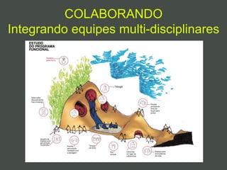 COLABORANDO
Integrando equipes multi-disciplinares
 