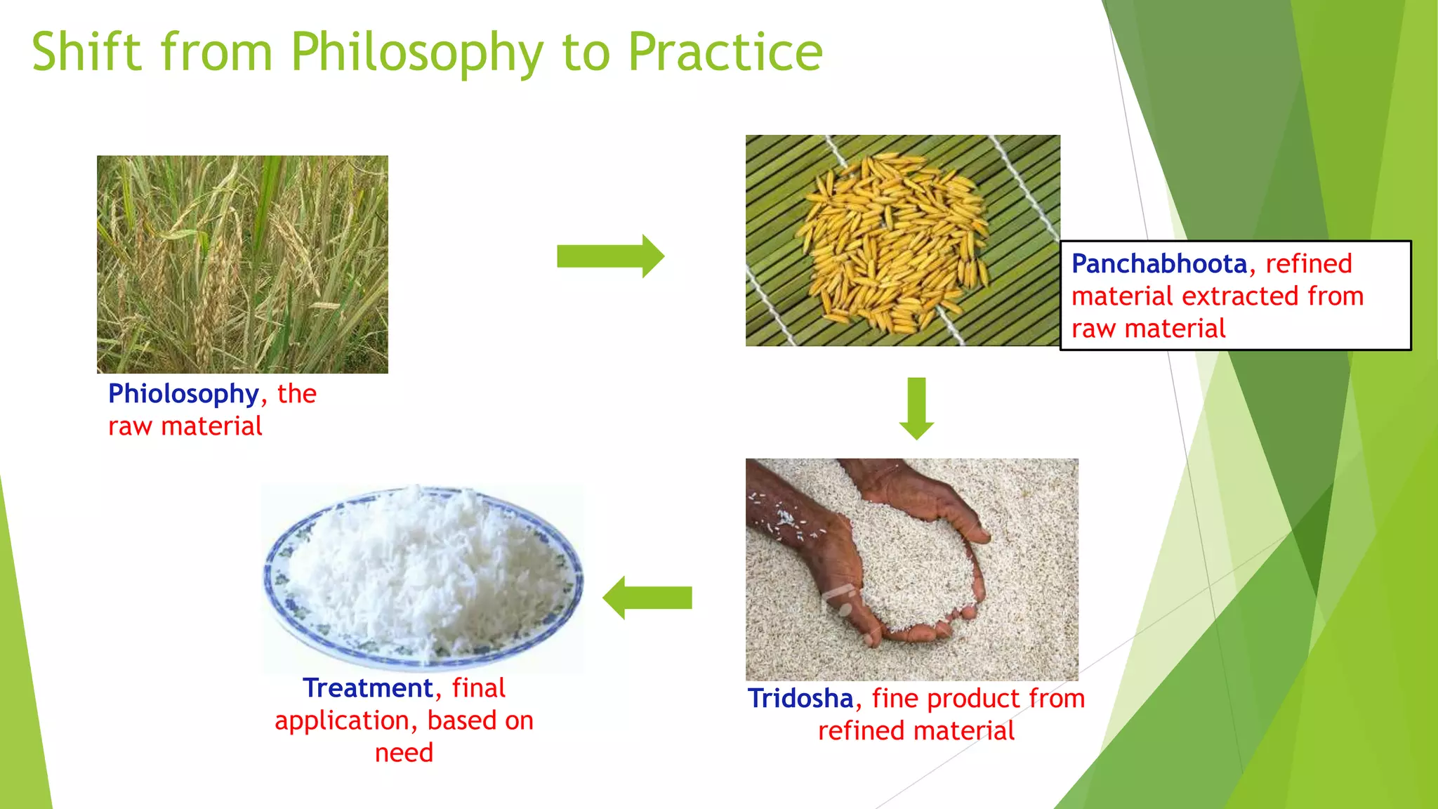 Practice Refines Applied aspects of Tridosha Siddhanta | PPTX