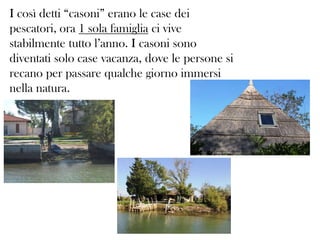 I così detti “casoni” erano le case dei
pescatori, ora 1 sola famiglia ci vive
stabilmente tutto l’anno. I casoni sono
diventati solo case vacanza, dove le persone si
recano per passare qualche giorno immersi
nella natura.

 