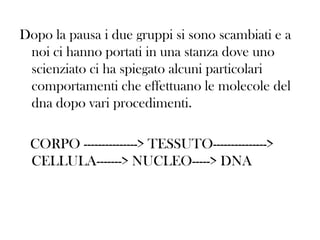 Dopo la pausa i due gruppi si sono scambiati e a
noi ci hanno portati in una stanza dove uno
scienziato ci ha spiegato alcuni particolari
comportamenti che effettuano le molecole del
dna dopo vari procedimenti.
CORPO ---------------> TESSUTO--------------->
CELLULA-------> NUCLEO-----> DNA

 