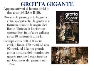 GROTTA GIGANTE
Appena arrivati ci hanno divisi in
due gruppi(IIIA e IIIB).
Durante la prima parte la guida
ci ha spiegato che, la grotta si è
formata quando la acque del
fiume Timavo la lasciarono
spostandosi in un’altra galleria
circa 10 milioni di anni fa.
Occupa circa 300.000 metri
cubi, è lunga 170 metri ed alta
97metri, ed è la più grande
grotta turistica del mondo, per
questo motivo è stata inserita
nel Guinness dei primati nel
1995.

 