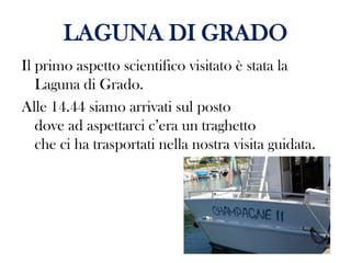LAGUNA DI GRADO
Il primo aspetto scientifico visitato è stata la
Laguna di Grado.
Alle 14.44 siamo arrivati sul posto
dove ad aspettarci c’era un traghetto
che ci ha trasportati nella nostra visita guidata.

 