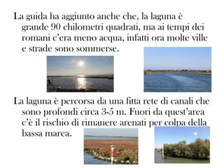 La guida ha aggiunto anche che, la laguna è
grande 90 chilometri quadrati, ma ai tempi dei
romani c’era meno acqua, infatti ora molte ville
e strade sono sommerse.

La laguna è percorsa da una fitta rete di canali che
sono profondi circa 3-5 m. Fuori da quest’area
c’è il rischio di rimanere arenati per colpa della
bassa marea.

 